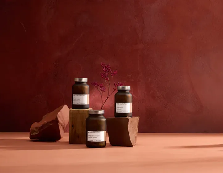 Meet your Collagen Dream Team